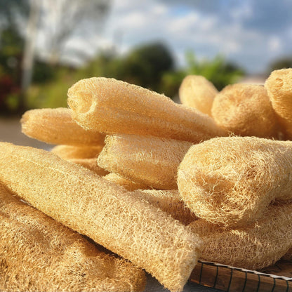 Natural Loofah
